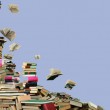 Pupils Textbooks